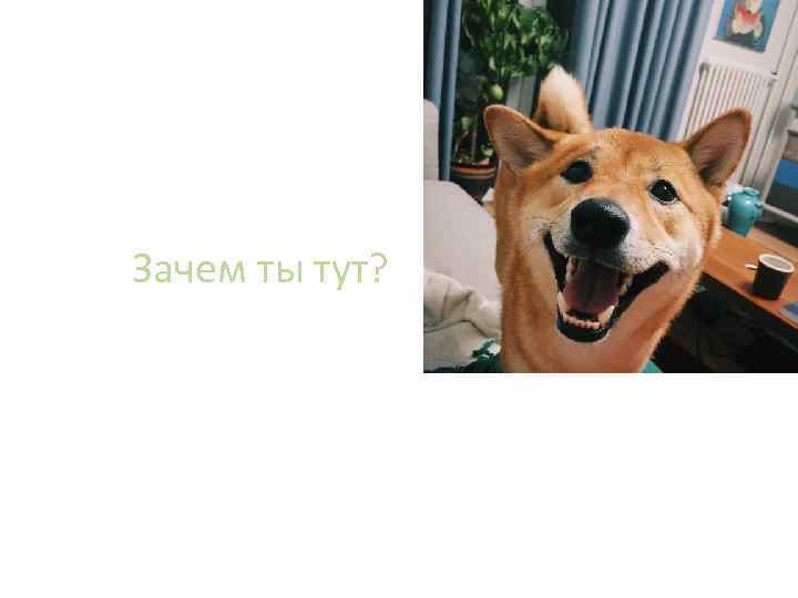Зачем ты тут? 