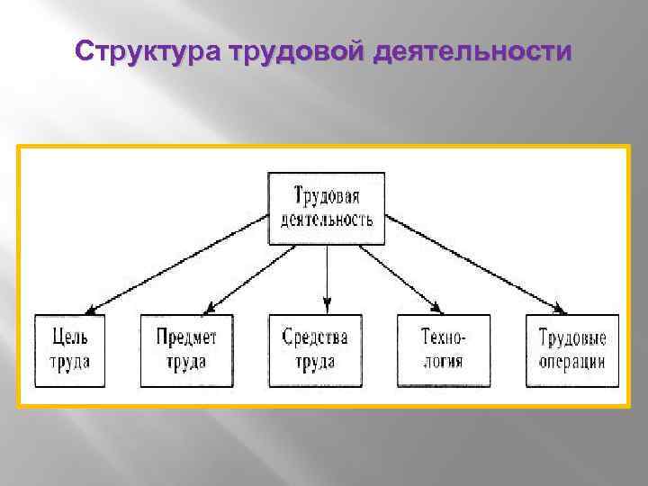 Виды трудовой деятельности. Структура трудовой деятельности. Структура трудового процесса. Структура процесса труда. Деятельностт струтруа труд.