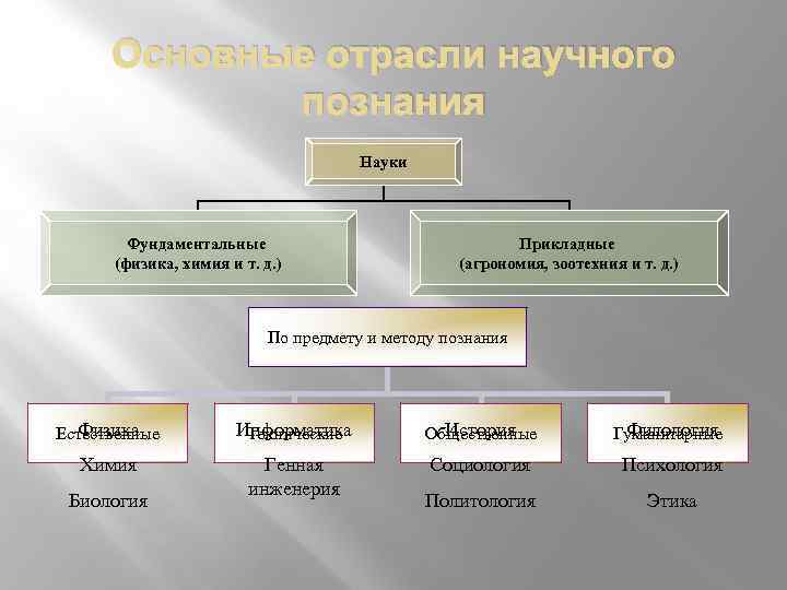 Основные отрасли научного познания Науки Фундаментальные (физика, химия и т. д. ) Прикладные (агрономия,