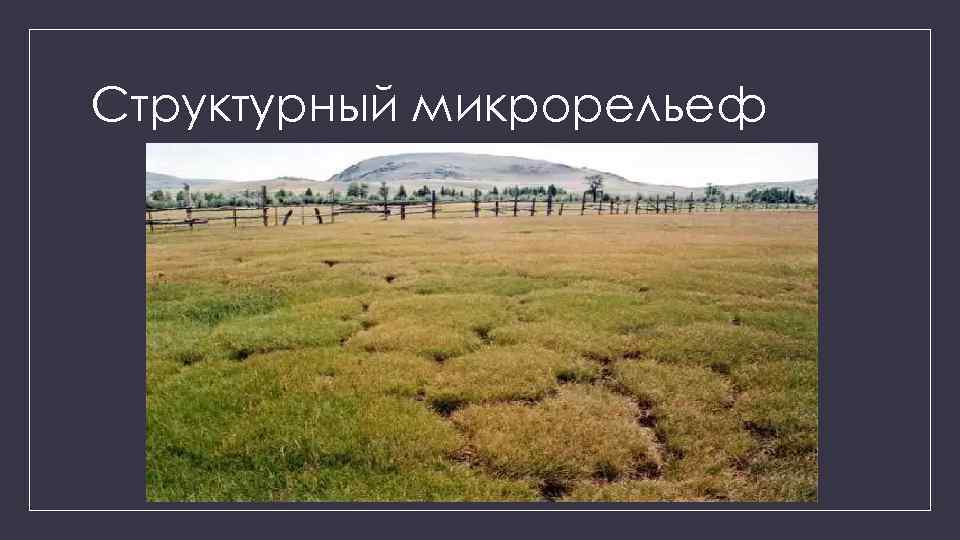 Структурный микрорельеф 