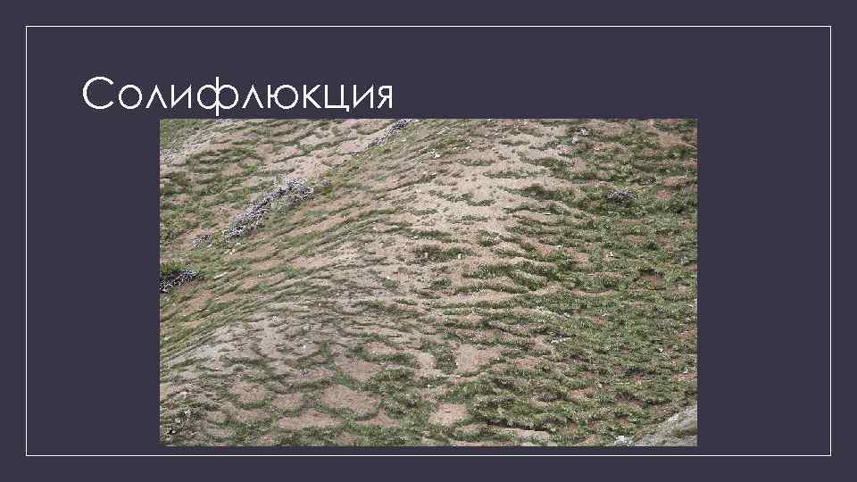 Солифлюкция 