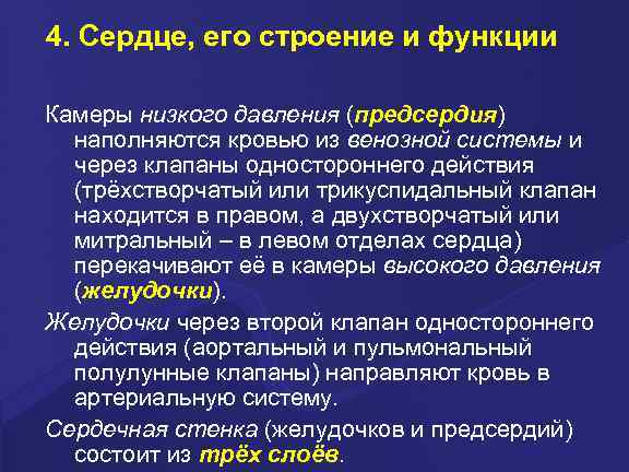 4. Сердце, его строение и функции Камеры низкого давления (предсердия) наполняются кровью из венозной