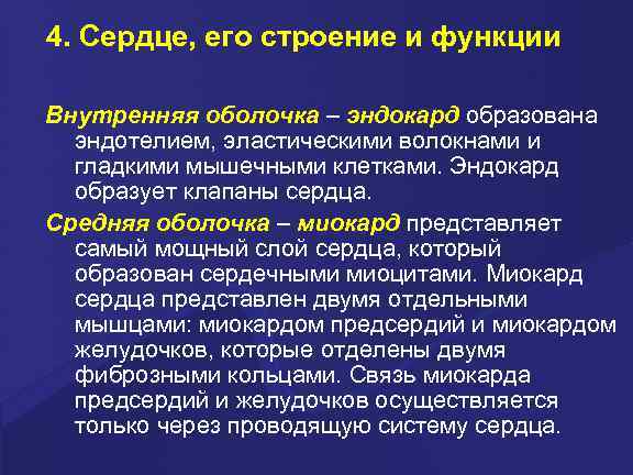 4. Сердце, его строение и функции Внутренняя оболочка – эндокард образована эндотелием, эластическими волокнами