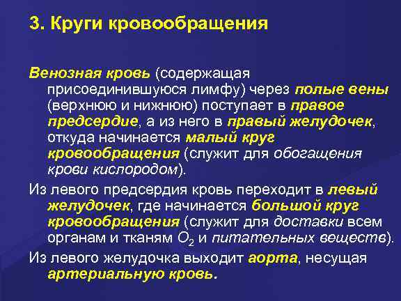 3. Круги кровообращения Венозная кровь (содержащая присоединившуюся лимфу) через полые вены (верхнюю и нижнюю)