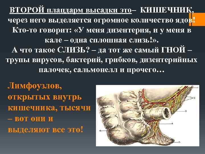 ВТОРОЙ плацдарм высадки это– КИШЕЧНИК, через него выделяется огромное количество ядов! Кто-то говорит: «У