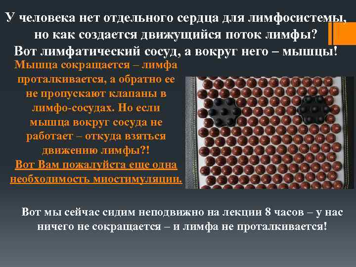У человека нет отдельного сердца для лимфосистемы, но как создается движущийся поток лимфы? Вот