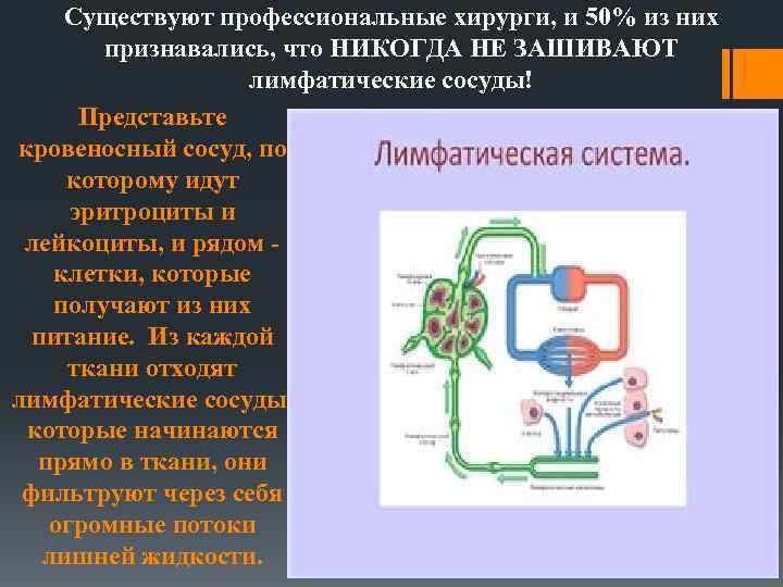 Существуют профессиональные хирурги, и 50% из них признавались, что НИКОГДА НЕ ЗАШИВАЮТ лимфатические сосуды!