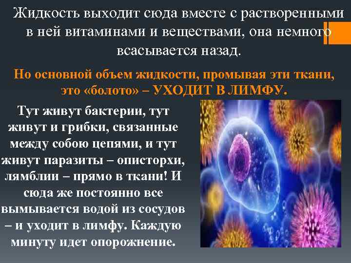 Жидкость выходит сюда вместе с растворенными в ней витаминами и веществами, она немного всасывается