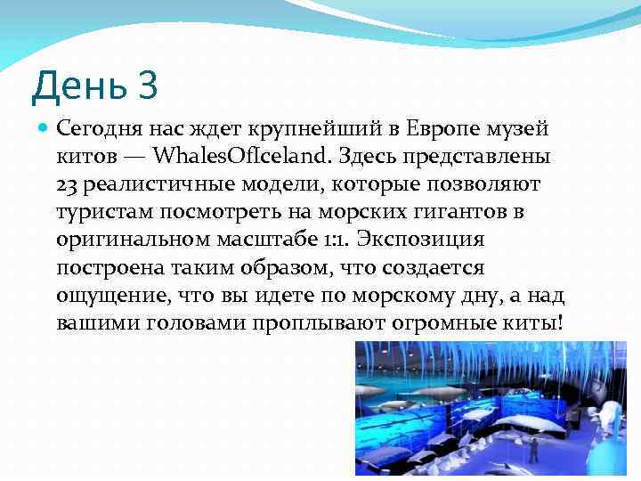 День 3 Сегодня нас ждет крупнейший в Европе музей китов — Whales. Of. Iceland.