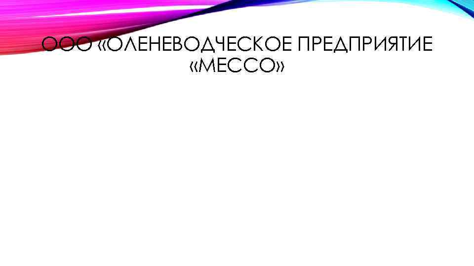 ООО «ОЛЕНЕВОДЧЕСКОЕ ПРЕДПРИЯТИЕ «МЕССО» 