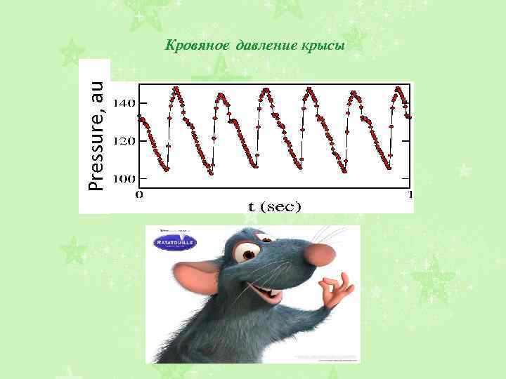Pressure, au Кровяное давление крысы 