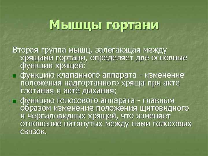 Мышцы гортани Вторая группа мышц, залегающая между хрящами гортани, определяет две основные функции хрящей: