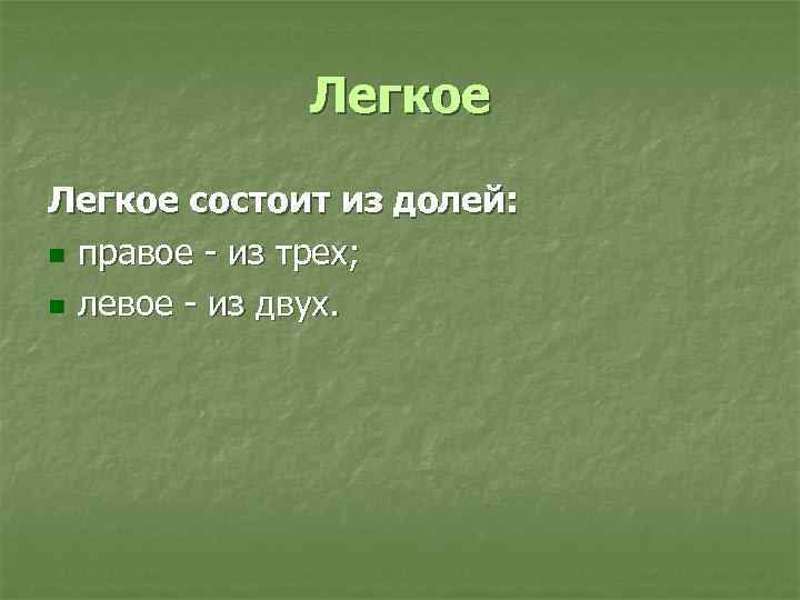 Легкое состоит из долей: n правое - из трех; n левое - из двух.