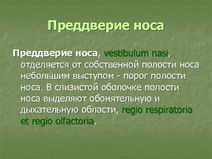 Преддверие носа, vеstibulum nasi, отделяется от собственной полости носа небольшим выступом - порог полости