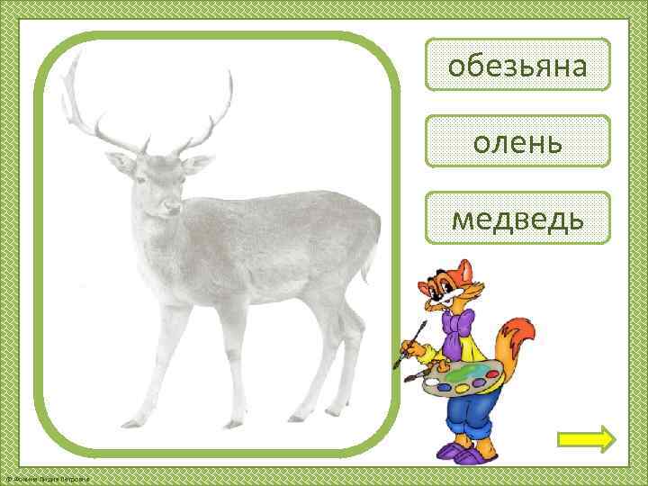 обезьяна олень медведь © Фокина Лидия Петровна 