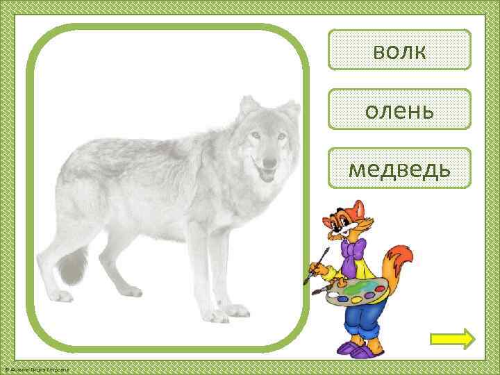 волк олень медведь © Фокина Лидия Петровна 