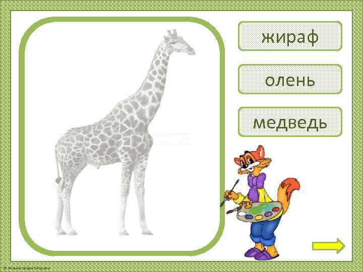 жираф олень медведь © Фокина Лидия Петровна 