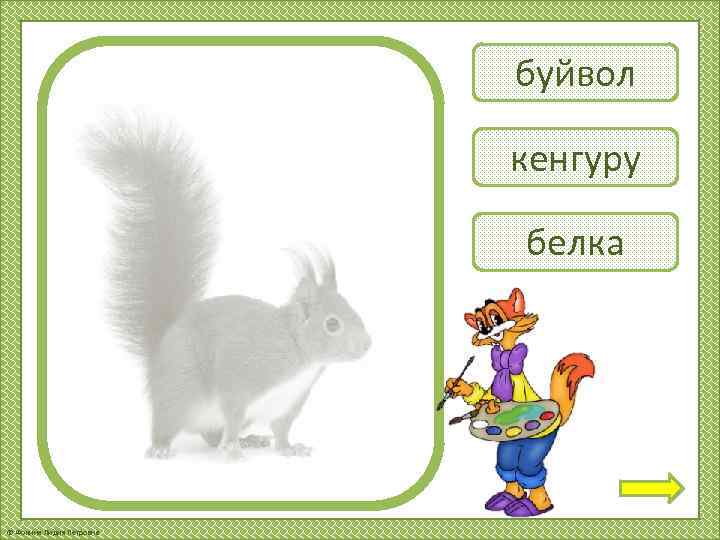 буйвол кенгуру белка © Фокина Лидия Петровна 