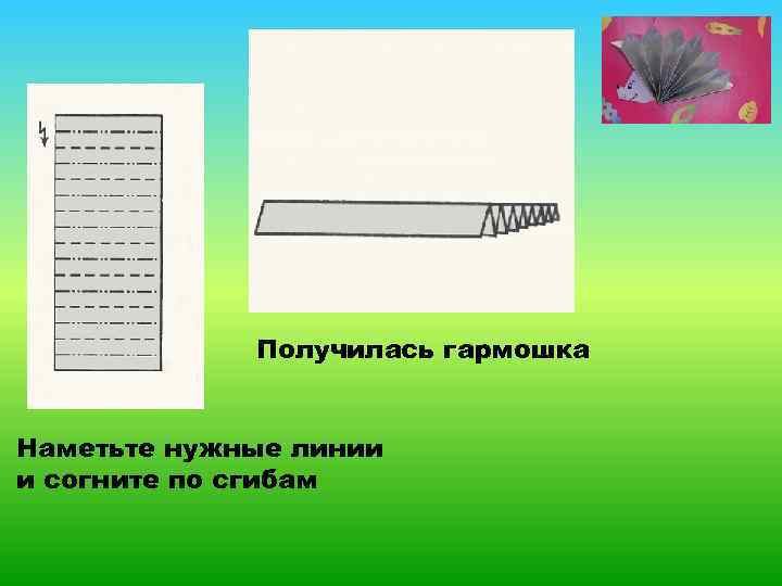 Получилась гармошка Наметьте нужные линии и согните по сгибам 