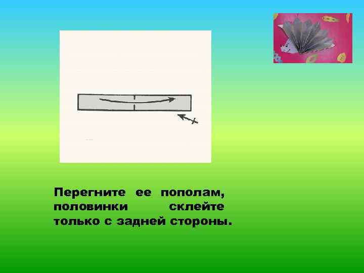 Перегните ее пополам, половинки склейте только с задней стороны. 