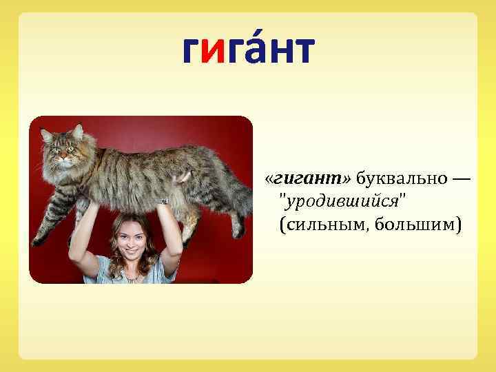 гига нт «гигант» буквально — 