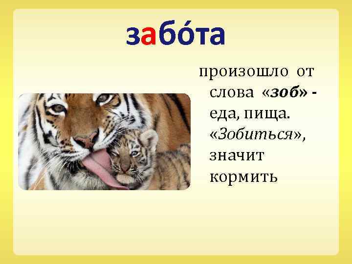 забо та произошло от слова «зоб» еда, пища. «Зобиться» , значит кормить 