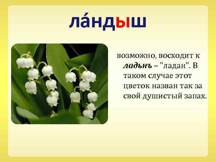 ла ндыш возможно, восходит к ладьнъ – 