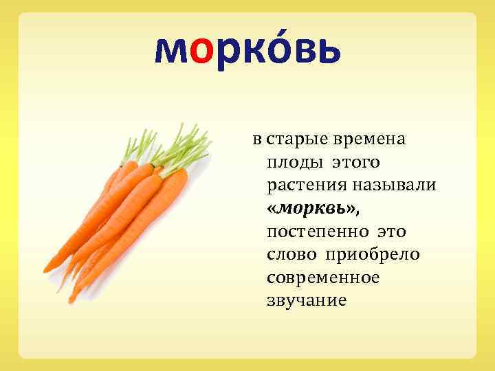 морко вь в старые времена плоды этого растения называли «морквь» , постепенно это слово