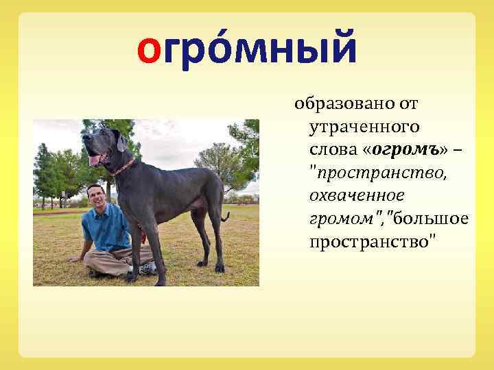 огро мный образовано от утраченного слова «огромъ» – 