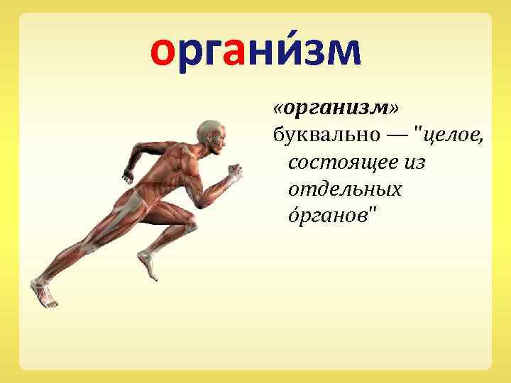 органи зм «организм» буквально — 