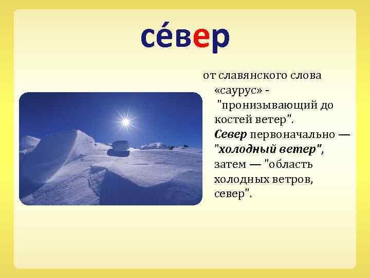 се вер от славянского слова «саурус» - 