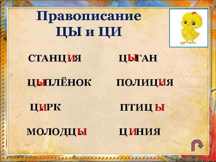 Правописание ЦЫ и ЦИ СТАНЦ ИЯ. ЦЫ. ГАН ЦЫ. ПЛЁНОК ПОЛИЦИЯ. ЦИРК. МОЛОДЦ Ы.