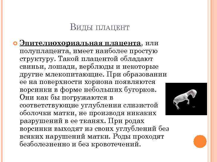 ВИДЫ ПЛАЦЕНТ Эпителиохориальная плацента, или полуплацента, имеет наиболее простую структуру. Такой плацентой обладают свиньи,