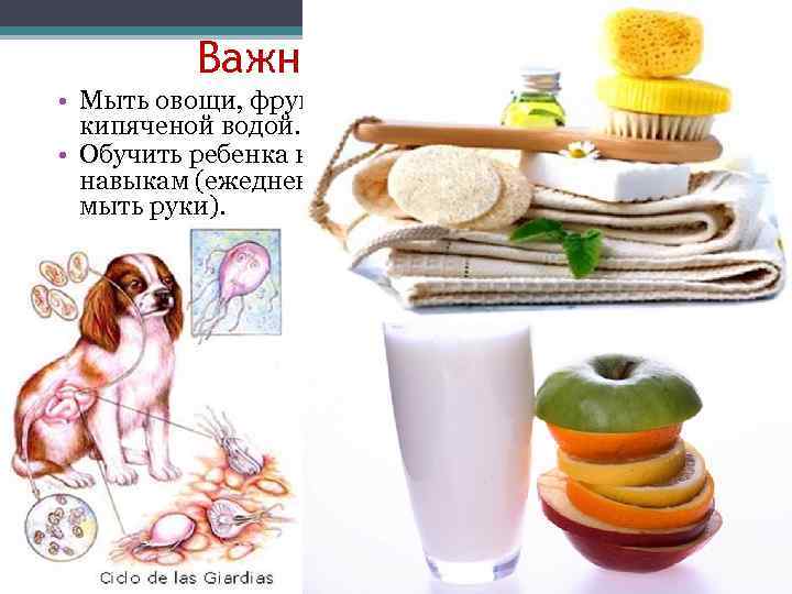 Важно! • Мыть овощи, фрукты со щеткой, ополаскивать кипяченой водой. • Обучить ребенка как