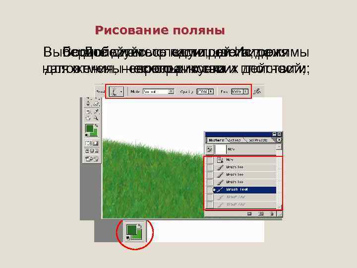 Рисование поляны Выберите диаметр кисти, цвета, режимы Воспользуйтесь палитрой История Добейтесь следующего вида наложения,