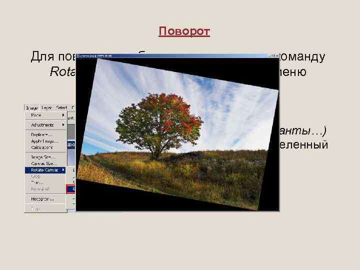 Поворот Для поворота изображения используют команду Rotate Canvas (Поворот холста) из меню Image (Изображение).