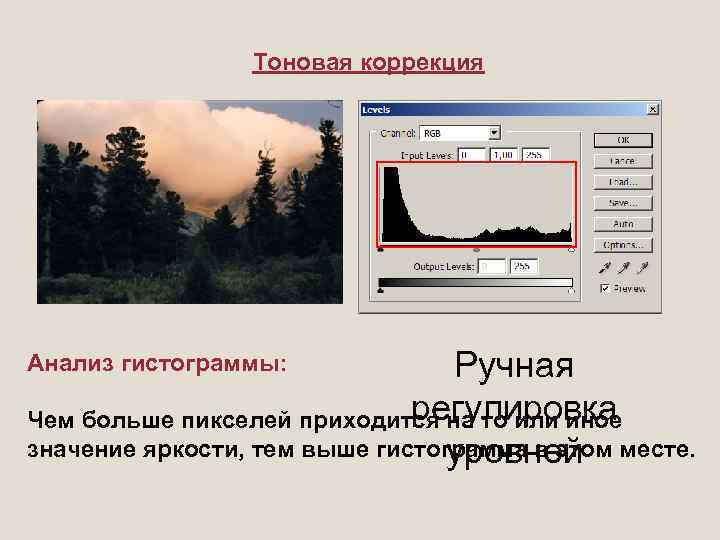 Тоновая коррекция Ручная регулировка Чем больше пикселей приходится на то или иное значение яркости,