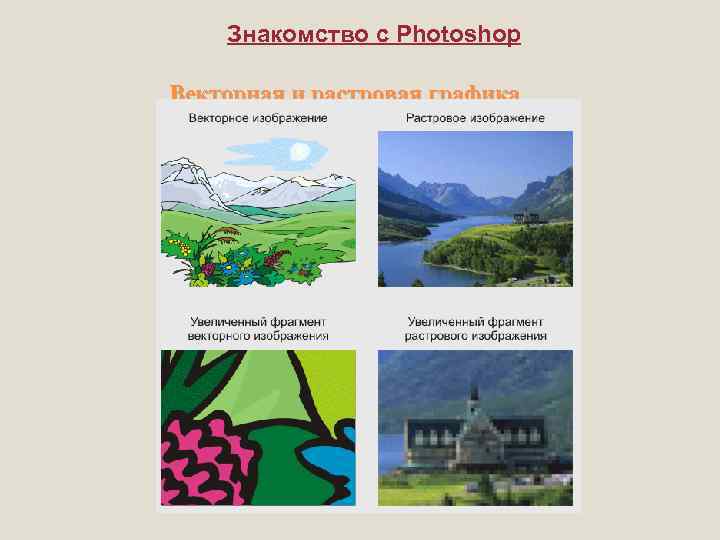 Знакомство с Photoshop Векторная и растровая графика 