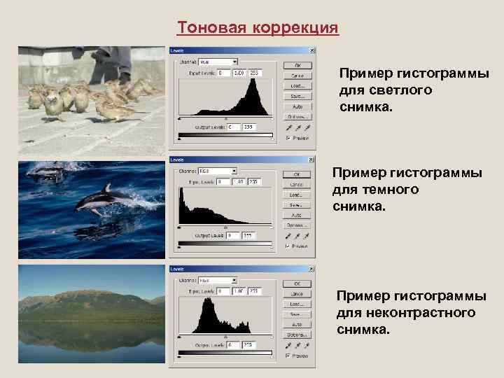 Гистограмма фотографии онлайн