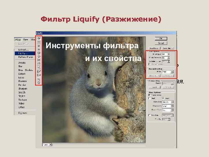 Фильтр Liquify (Разжижение) Инструменты фильтра и их свойства Фильтр позволяет проделывать сложные преобразования формы