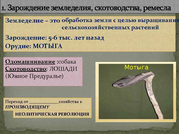 1. Зарождение земледелия, скотоводства, ремесла Земледелие – это обработка земли с целью выращивания сельскохозяйственных