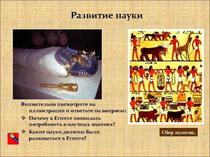 Развитие науки Внимательно посмотрите на иллюстрации и ответьте на вопросы: v Почему в Египте