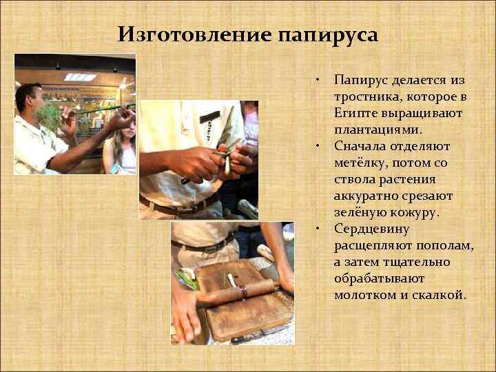 Изготовление папируса • • • Папирус делается из тростника, которое в Египте выращивают плантациями.