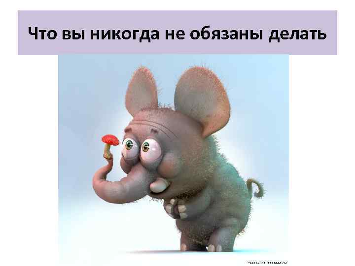 Что вы никогда не обязаны делать 