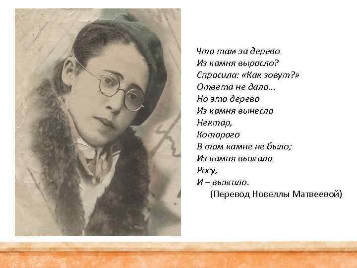  Что там за дерево Из камня выросло? Спросила: «Как зовут? » Ответа не