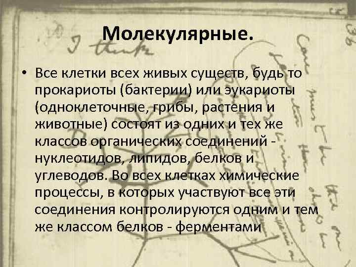 Молекулярные. • Все клетки всех живых существ, будь то прокариоты (бактерии) или эукариоты (одноклеточные,