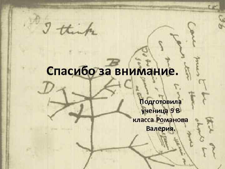Спасибо за внимание. Подготовила ученица 9 В класса Романова Валерия. 