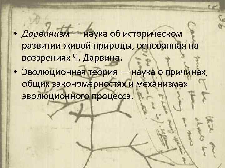  • Дарвинизм — наука об историческом развитии живой природы, основанная на воззрениях Ч.