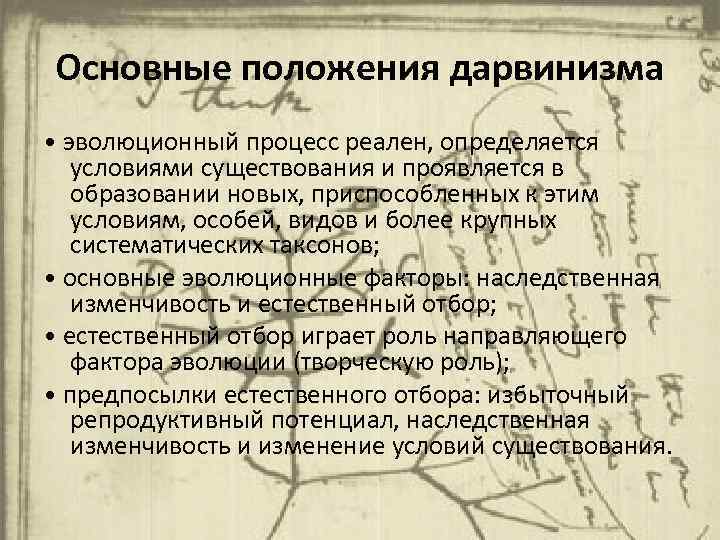 Принцип дарвинизма. Основные положения дарвинизма. Основные положения дарвинизма кратко. Основы положения теории дарвинизма. Основные положения классического дарвинизма.