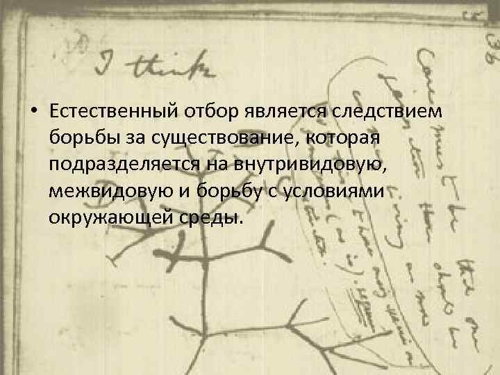  • Естественный отбор является следствием борьбы за существование, которая подразделяется на внутривидовую, межвидовую